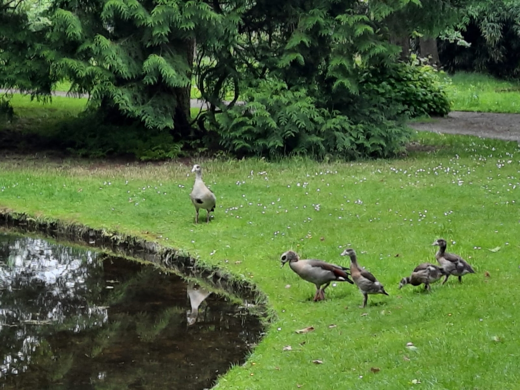 Autors: Marita Vilcāne