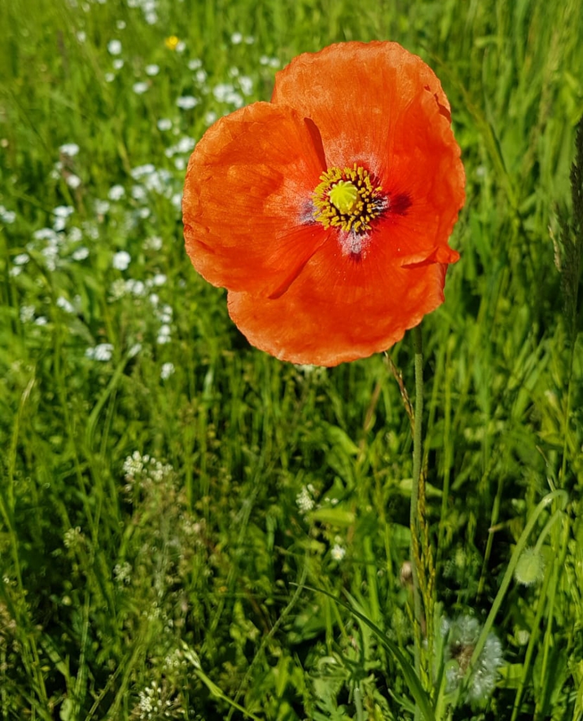 Autors: Imants Kaziļuns