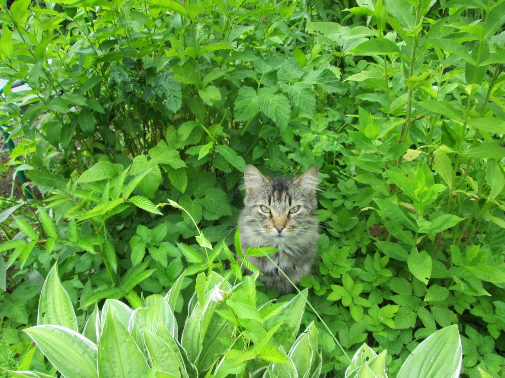 Autors: Ināra Sudare