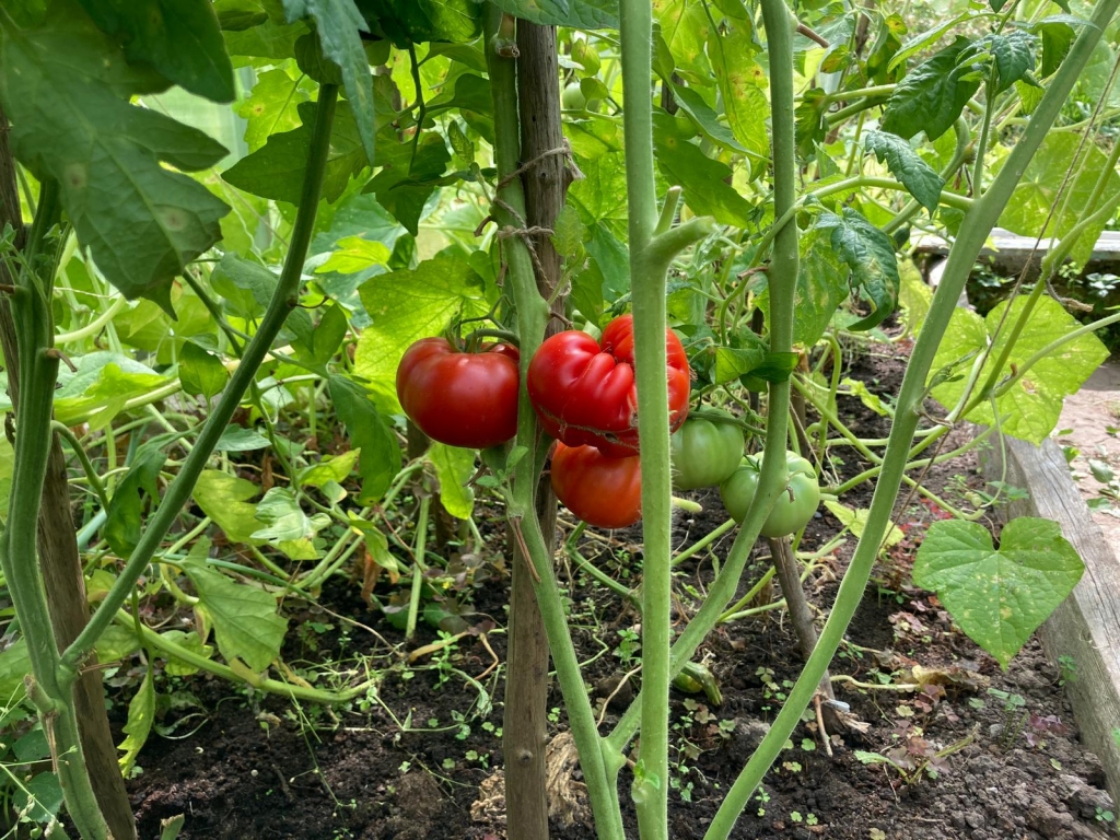 Autors: Ināra Sudare