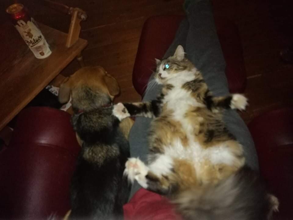 Autors: Ināra Sudare