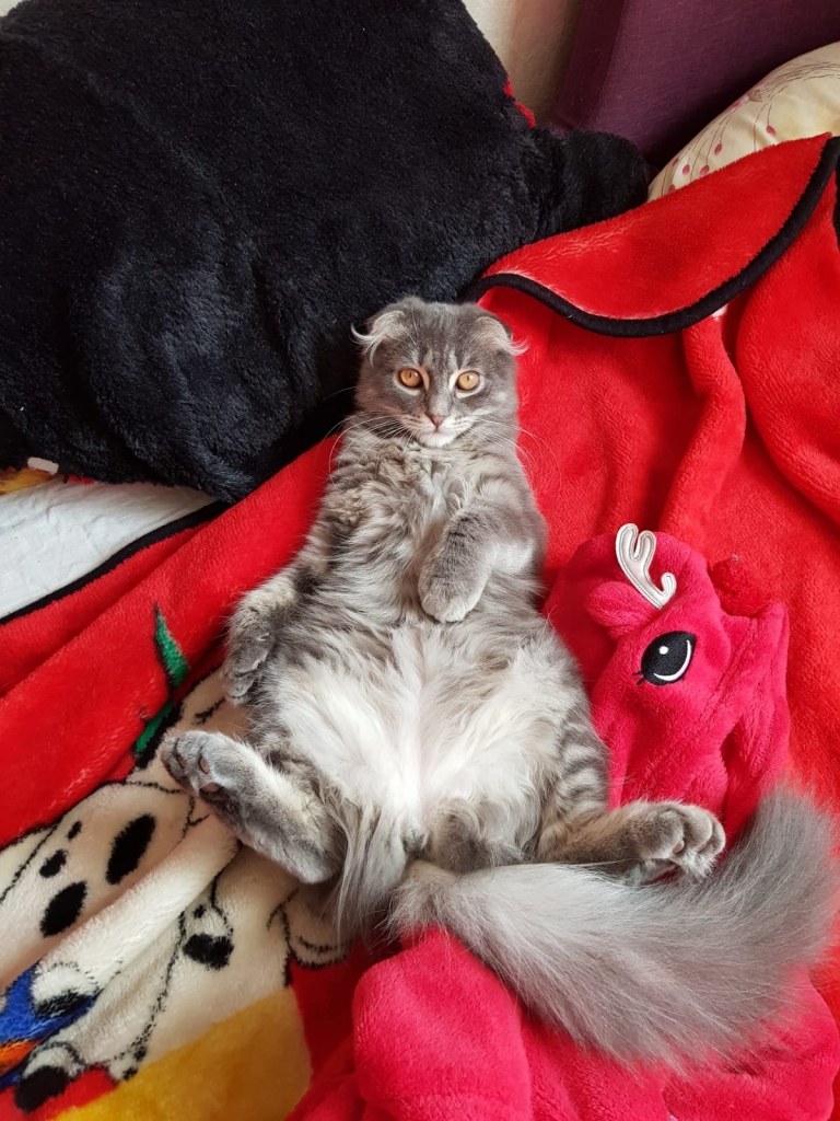 Mūna neizpratnē: 