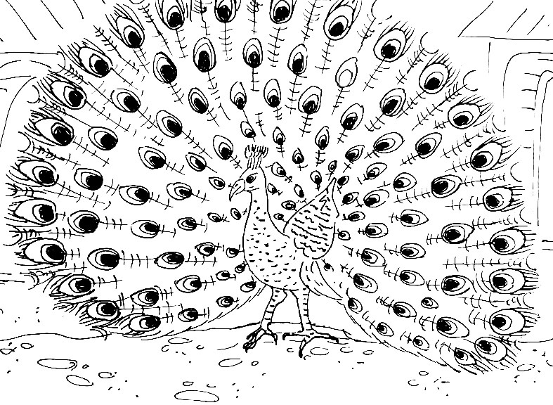 Autors: Aijas K. zīmējums