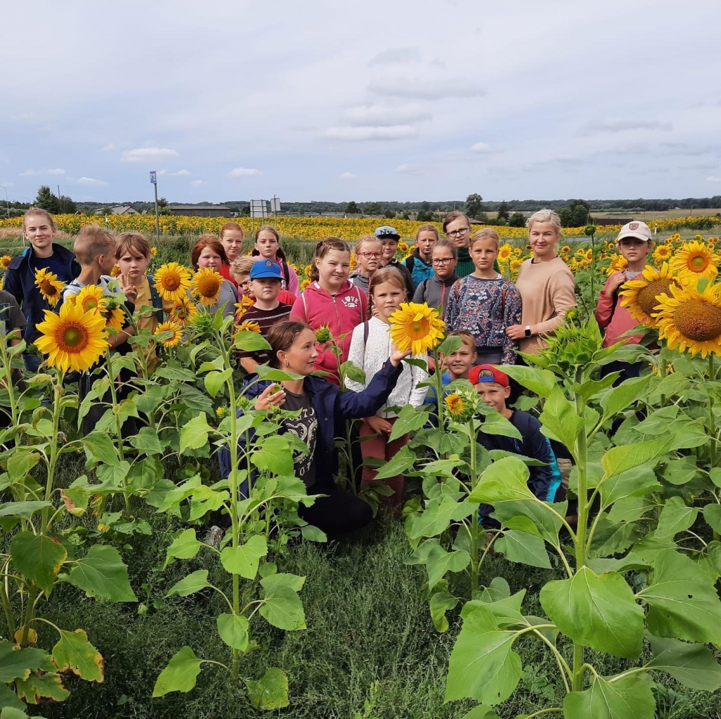 Nometnes dalībnieku fotosesija saulespuķu laukā.
Autors: no “Upmales mantiniekiem”