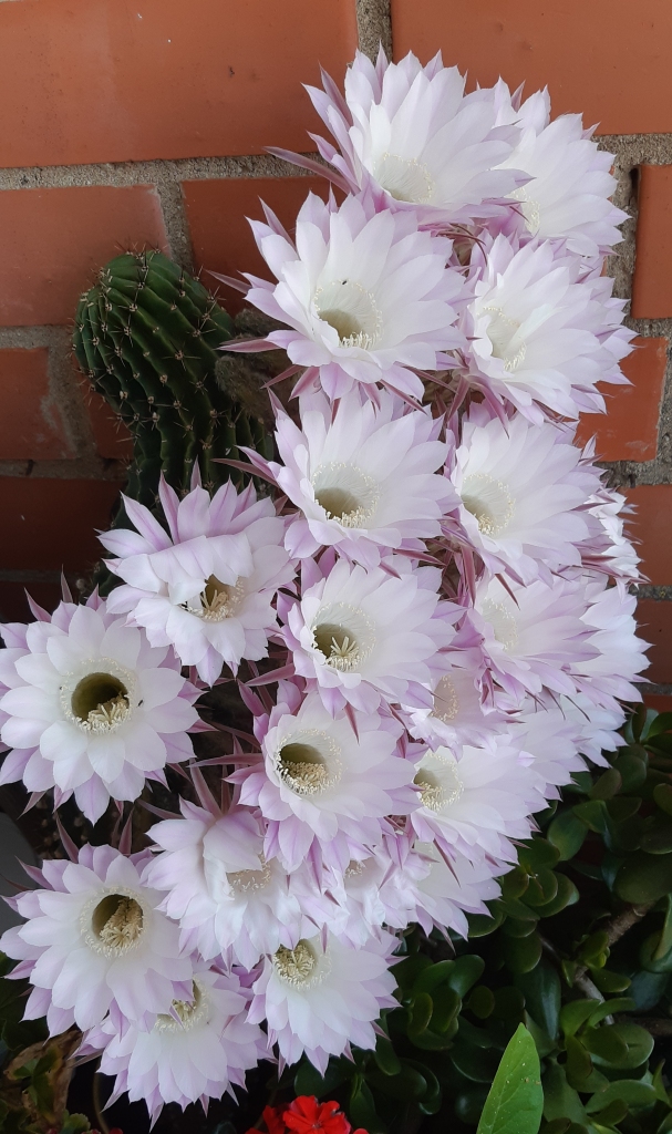 Autors: Karīna Žiško