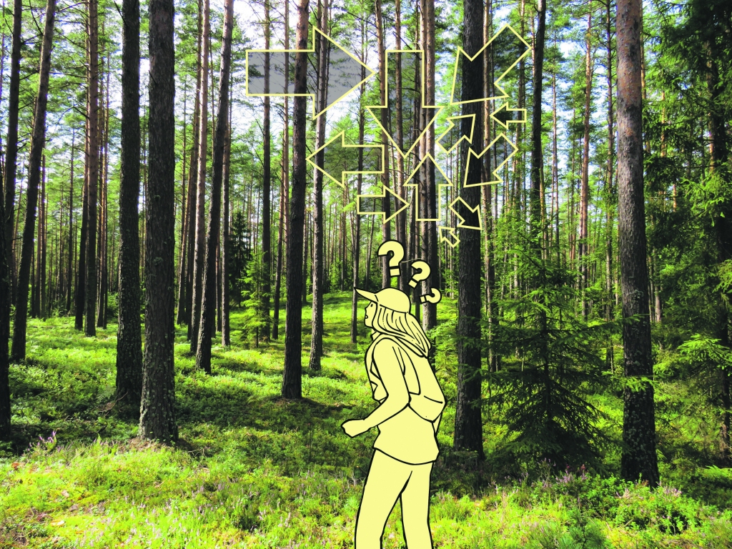 Sākusies sēņošanas un ogošanas sezona, tādēļ atbildīgie dienesti atgādina par drošu došanos mežā. Lai meža apmeklējums nebeigtos ar apmaldīšanos, tam jābūt pārdomātam.
Autors: no pixabay.com