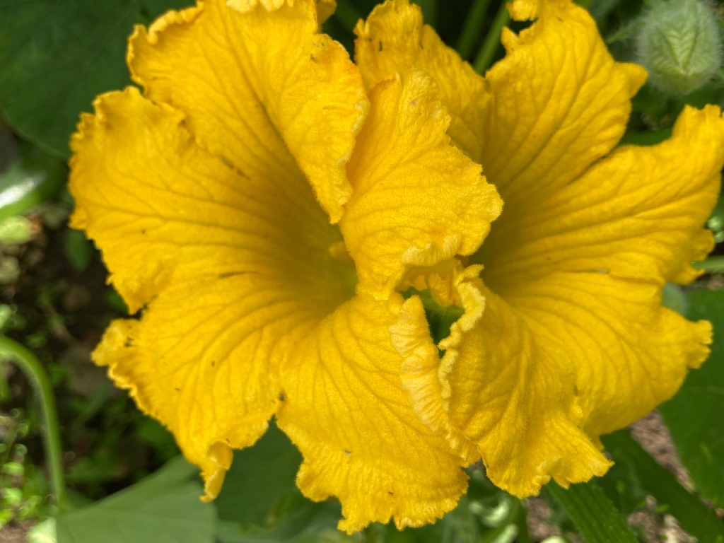 Autors: Ināra Sudare