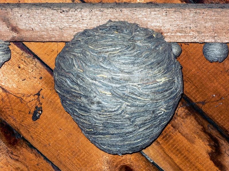 Ilustratīvs foto.