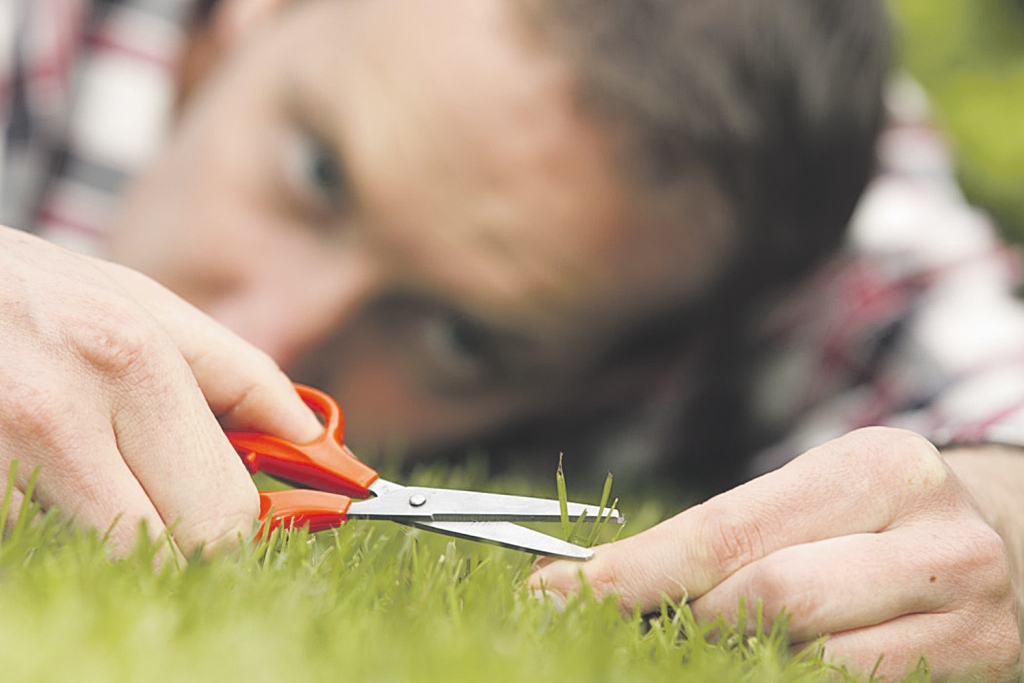 Perfekcionisms var veidoties socializācijas posmā (no 10 līdz 25 gadiem) pēc traumatiskas pieredzes, kad nepieņem sabiedrība.
Autors: no puaro.lv