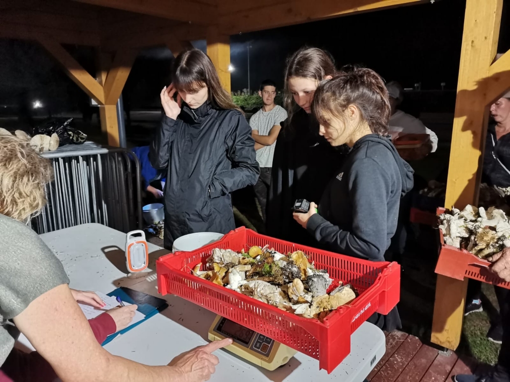 SĒŅU MEŽĀ DAUDZ pat naktī.
Autors: Giedre Zvirgzdiņa