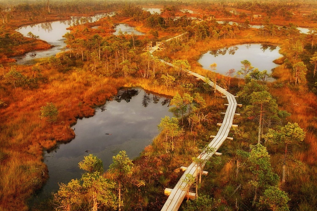 Autors: Žanna Žaka