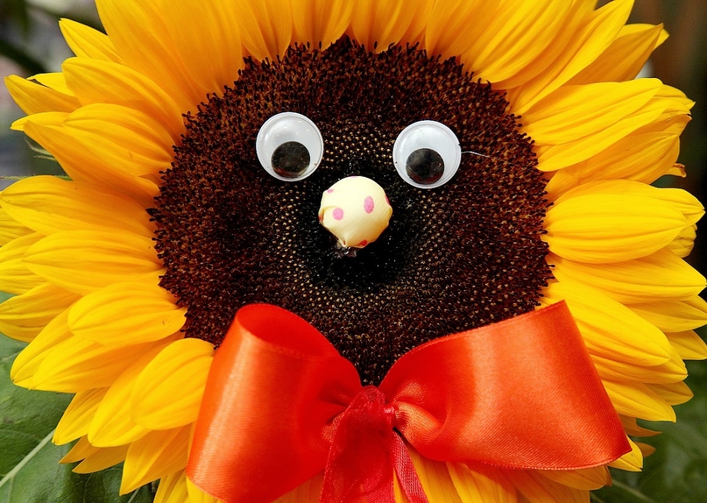 Autors: Žanna Žaka