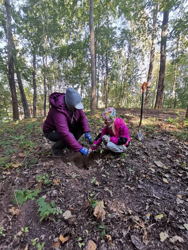 LAI AUG LIELAS UN SPĒCĪGAS — Kriškalnos talcinieki iestādīja vairākas kastaņas.
Autors: Giedre Zvirgzdiņa