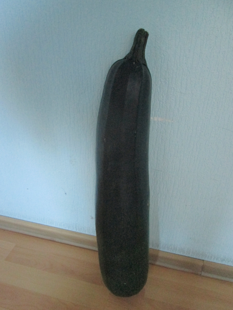 Cik garš ir kabacis? Atbildes gaidīsim līdz ceturtdienai, 30. septembrim, plkst. 12 e-pastā: 
aka@staburags.lv vai pa tālruni 65122077. Uzvarētājam balvā — 
grāmata.