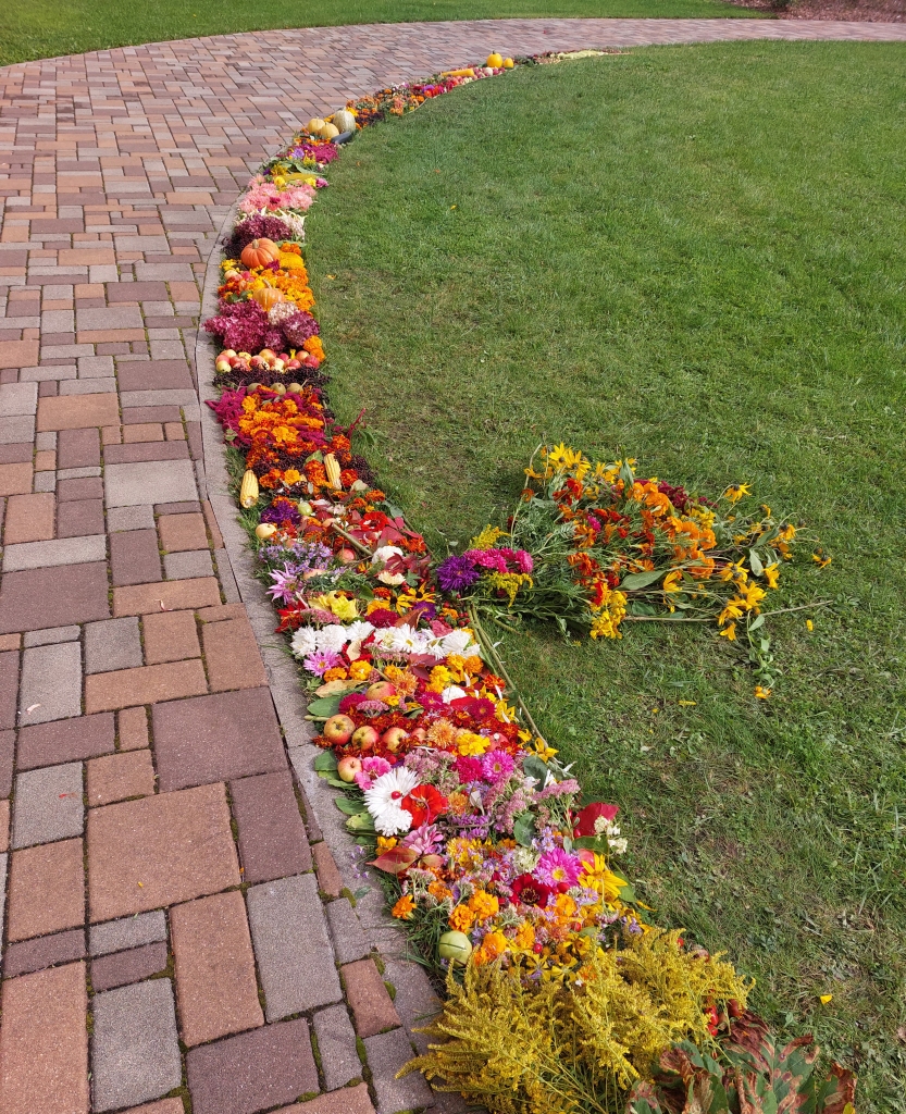 “Rudens josta”. Aizvadītajā nedēļā pirms Rudenāju pasākuma Koknesē I. Gaiša Kokneses vidusskolas skolēni veidoja krāšņu rotu. Samtenes, asteres, dālijas, āboli, ķirbji, pupiņas un vēl daudzas citas uz skolu atnestās puķes, augļi un dārzeņi sagūla zaļajā zālienā, veidojot raibraibo jostu, kas iepriecināja pasākuma dalībniekus un apmeklētājus.
Autors: no www.koknese.lv