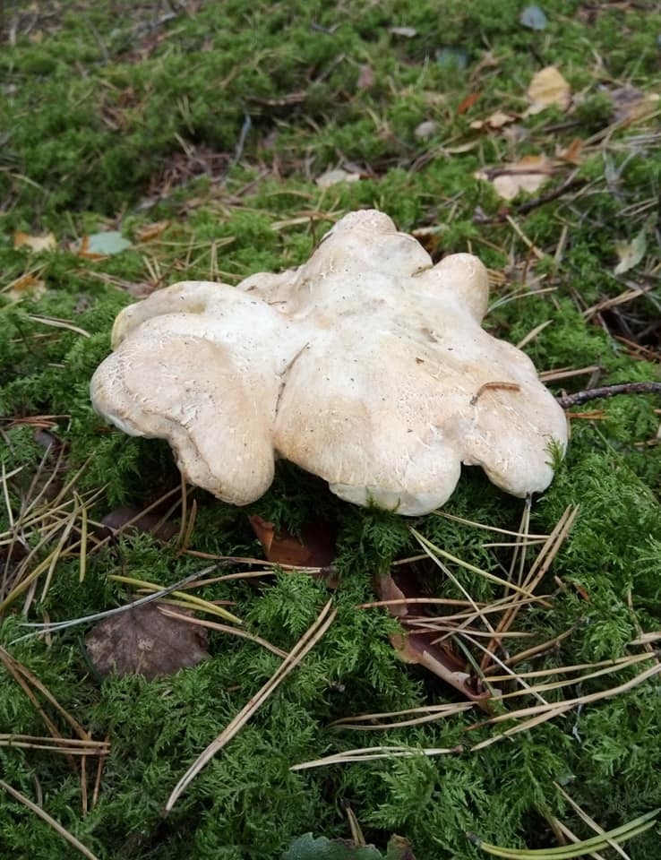 Autors: no personīgā albuma