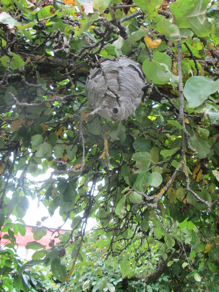 Autors: Ināra Sudare