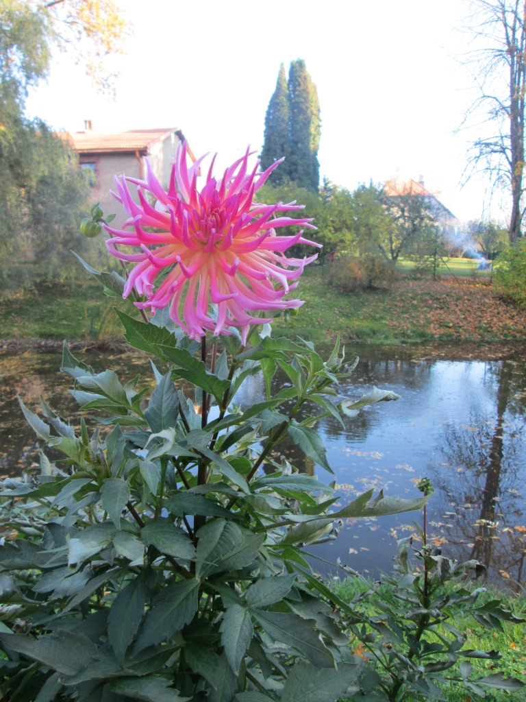 Autors: Ināra Sudare