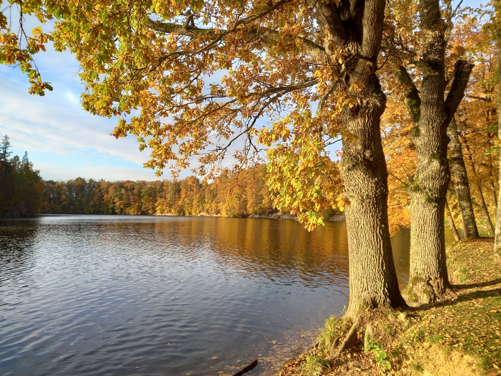 Autors: Silvija Karpoviča