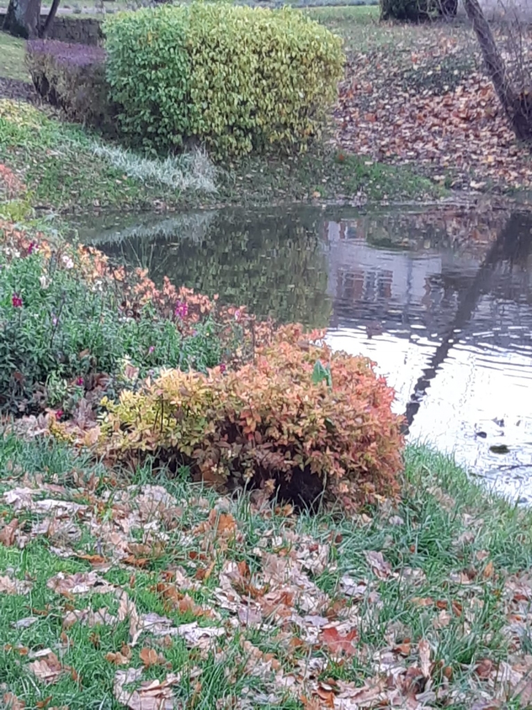 Autors: Olga Tarasova