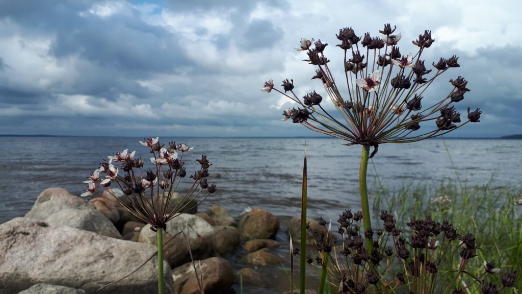 Autors: Līga Kušnere