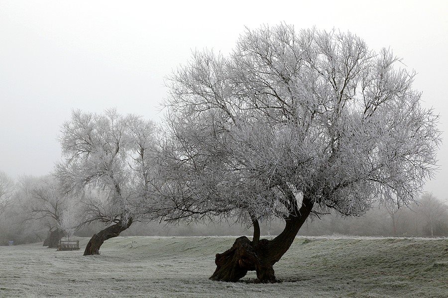 Autors: Žanna Žaka