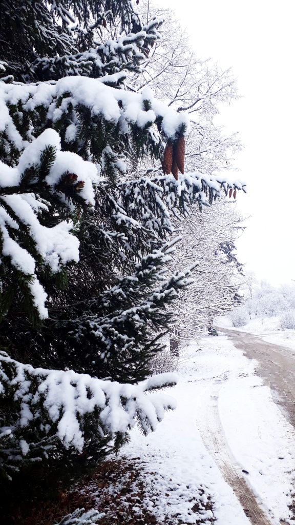 Autors: Solveiga Ivanova