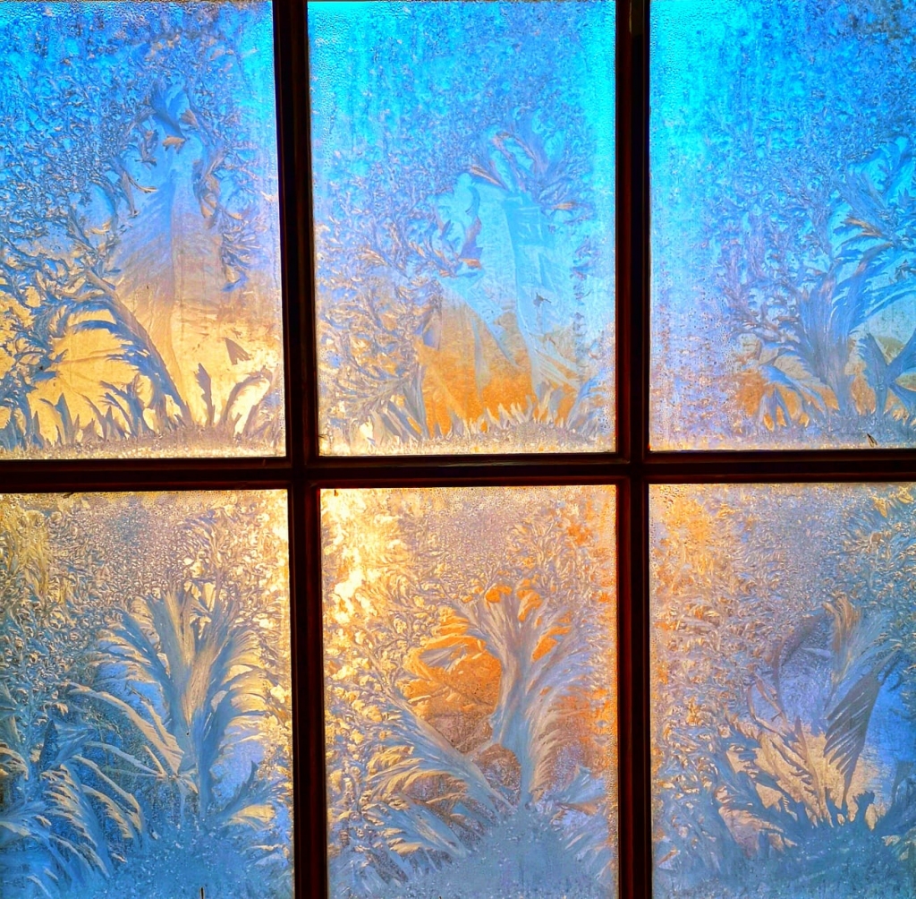 Autors: Žanna Žaka