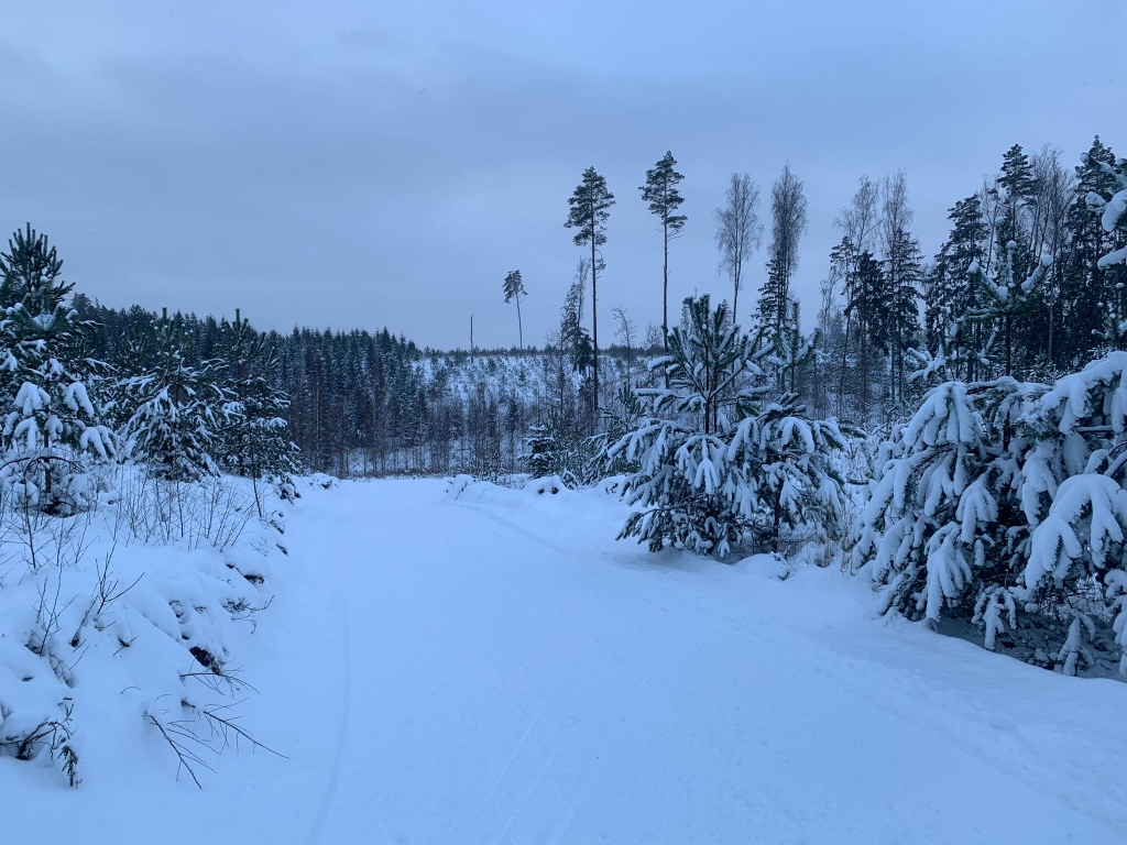 Slēpošanas sezona sākusies arī sporta bāzē “Jankas-Jaujas” pie Pļaviņām Aiviekstes pagastā. Sagatavotas slēpošanas trases ap sešu kilometru garumā, kas ir gan klasiskajam, gan slīdsolim. Trasi ikviens interesents var izmantot bez maksas, un tā ir apgaismota diennakts tumšajā laikā. Inventāra noma “Jankās-Jaujās” pagaidām nav iespējama.