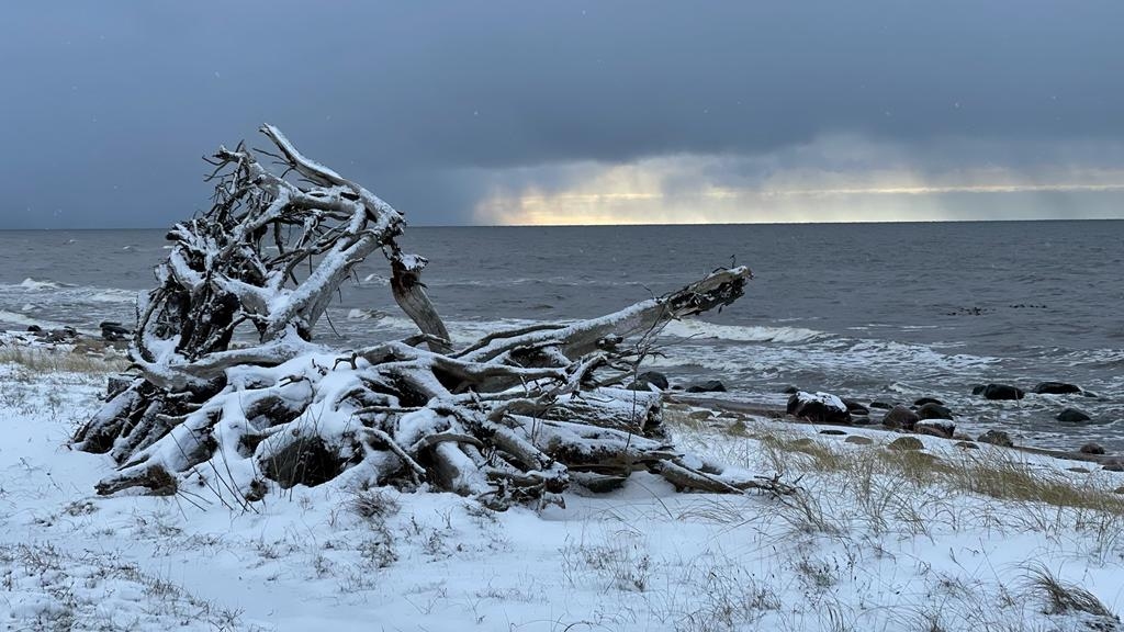 Autors: Žanna Žaka