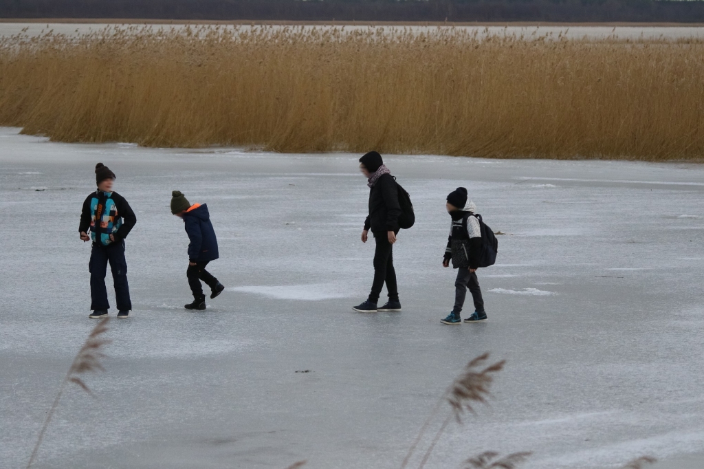 Ledus kārta uz ūdenstilpēm veidojas nevienmērīgi. Vecākiem ar bērniem  jāpārrunā par drošību, ka nedrīkst staigāt pa ledus virsmu, ja tas vēl nav izturīgs.
Autors: no www.liepajniekiem.lv