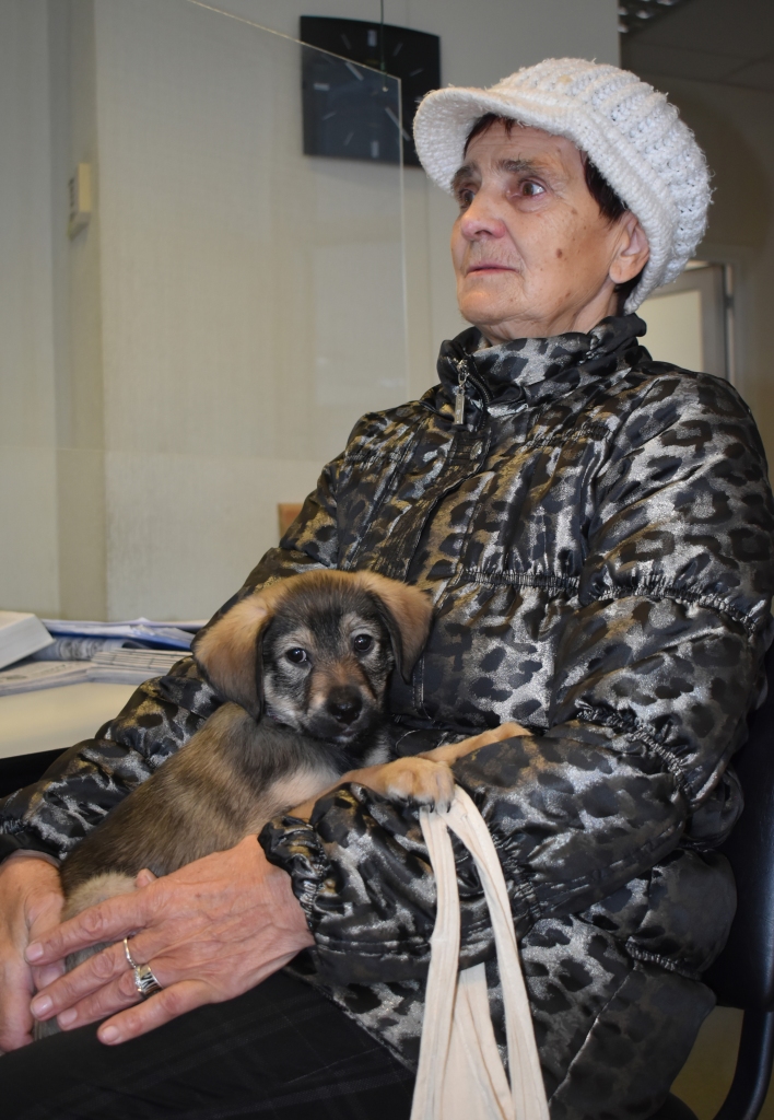 Pateicoties sērenietei Antonijai Bitkai, mazais Rodžers, kuru viņa atrada ziemas spelgonī, izmestu ceļmalā, ātri atrada jaunas mājas un saimniekus.
Autors: Ginta Grincēviča