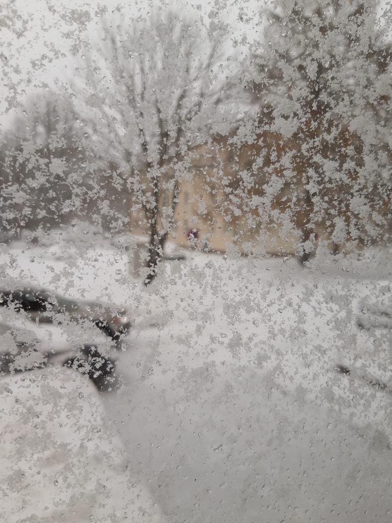 Autors: Olga Tarasova