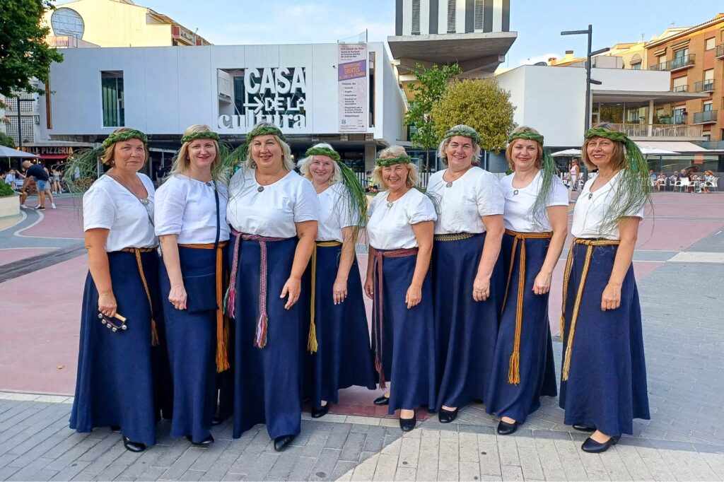 Aluksniesiem.lv raksta attēla aizvietotājs