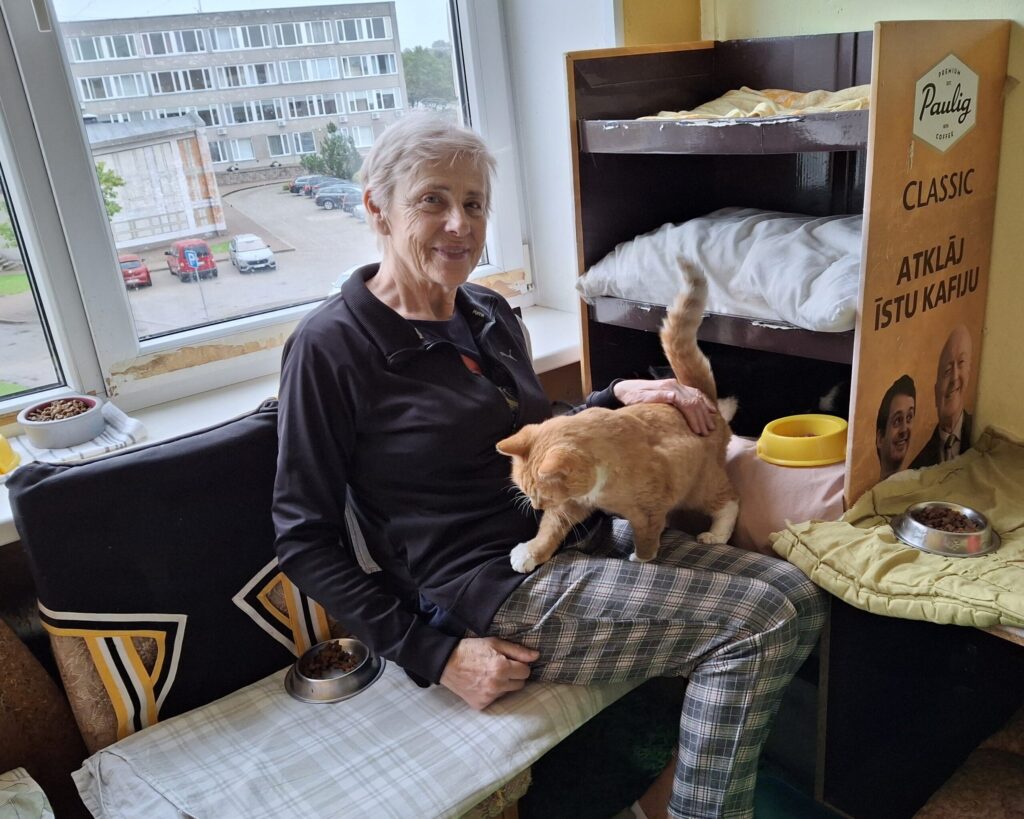 Aluksniesiem.lv raksta attēla aizvietotājs