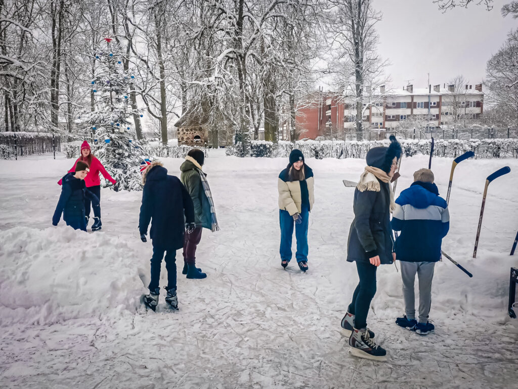 Aluksniesiem.lv raksta attēla aizvietotājs