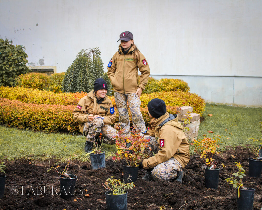 Aluksniesiem.lv raksta attēla aizvietotājs