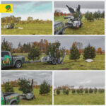 Pilna servisa lielu koku pārstādīšanas pakalpojumi Nemokieties ar lāpstu —&hellip;