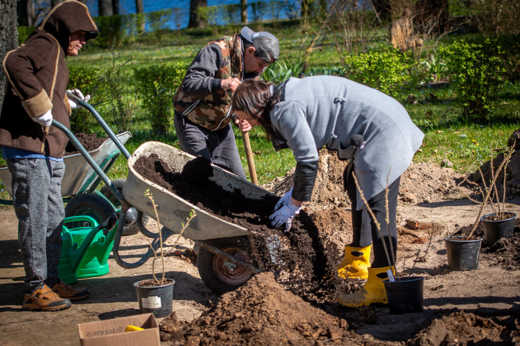 Aluksniesiem.lv raksta attēla aizvietotājs